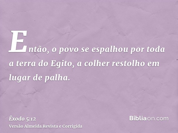 Então, o povo se espalhou por toda a terra do Egito, a colher restolho em lugar de palha.