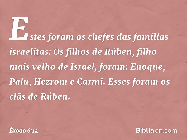 Estes foram os chefes das famílias israelitas:
Os filhos de Rúben, filho mais velho de Israel, foram: Enoque, Palu, Hezrom e Carmi. Esses foram os clãs de Rúben