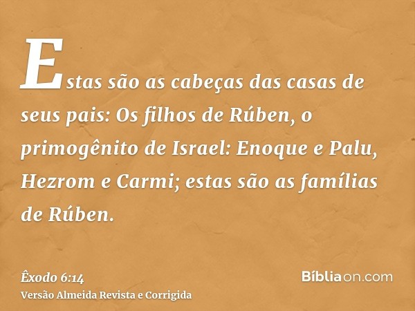 Estas são as cabeças das casas de seus pais: Os filhos de Rúben, o primogênito de Israel: Enoque e Palu, Hezrom e Carmi; estas são as famílias de Rúben.