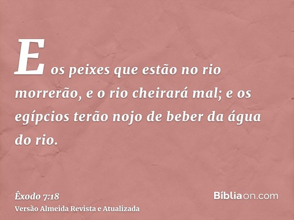 E os peixes que estão no rio morrerão, e o rio cheirará mal; e os egípcios terão nojo de beber da água do rio.