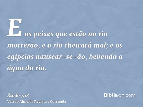 E os peixes que estão no rio morrerão, e o rio cheirará mal; e os egípcios nausear-se-ão, bebendo a água do rio.