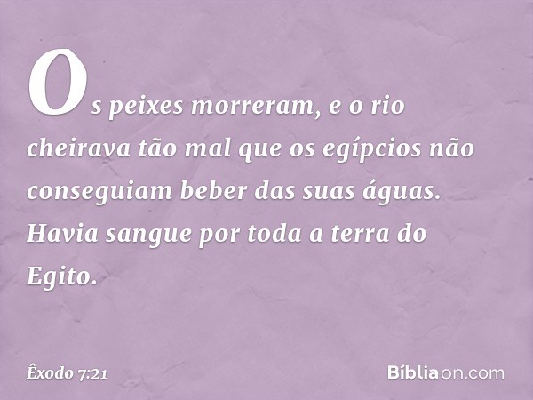 Os peixes morreram, e o rio cheirava tão mal que os egípcios não conseguiam beber das suas águas. Havia sangue por toda a terra do Egito. -- Êxodo 7:21