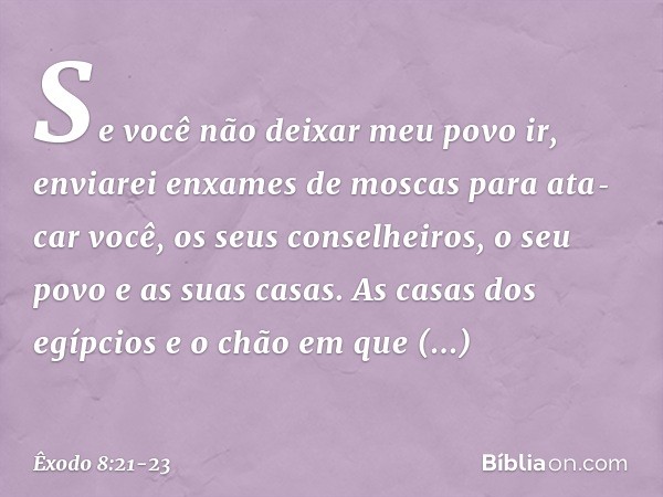 Se você não deixar meu povo ir, enviarei enxames de moscas para ata­car você, os seus conselheiros, o seu povo e as suas casas. As casas dos egípcios e o chão e