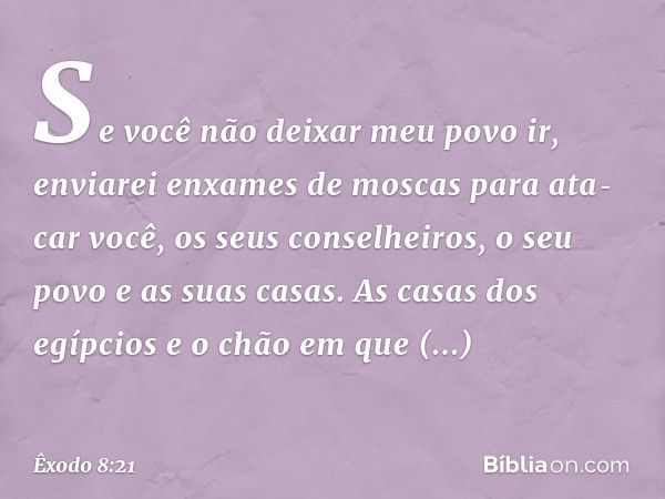 Se você não deixar meu povo ir, enviarei enxames de moscas para ata­car você, os seus conselheiros, o seu povo e as suas casas. As casas dos egípcios e o chão e