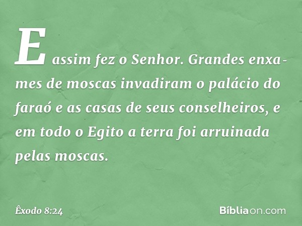 E assim fez o Senhor. Grandes enxa­mes de moscas invadiram o palácio do faraó e as casas de seus conselheiros, e em todo o Egito a terra foi arruinada pelas mos