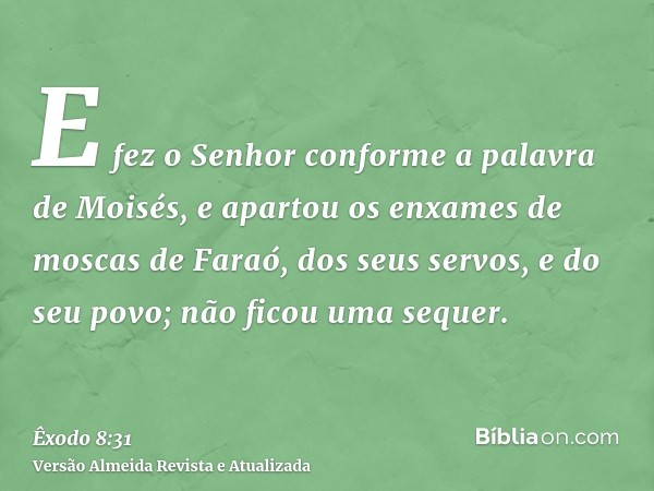 E fez o Senhor conforme a palavra de Moisés, e apartou os enxames de moscas de Faraó, dos seus servos, e do seu povo; não ficou uma sequer.