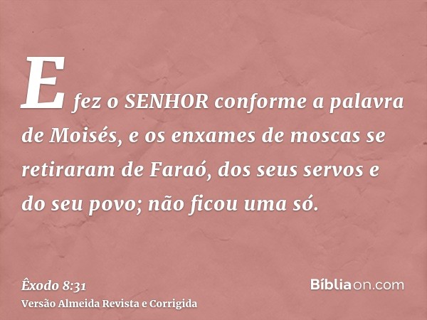 E fez o SENHOR conforme a palavra de Moisés, e os enxames de moscas se retiraram de Faraó, dos seus servos e do seu povo; não ficou uma só.