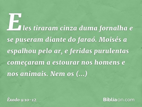 Eles tiraram cinza duma fornalha e se puseram diante do faraó. Moisés a espalhou pelo ar, e feridas purulentas começaram a estourar nos homens e nos animais. N