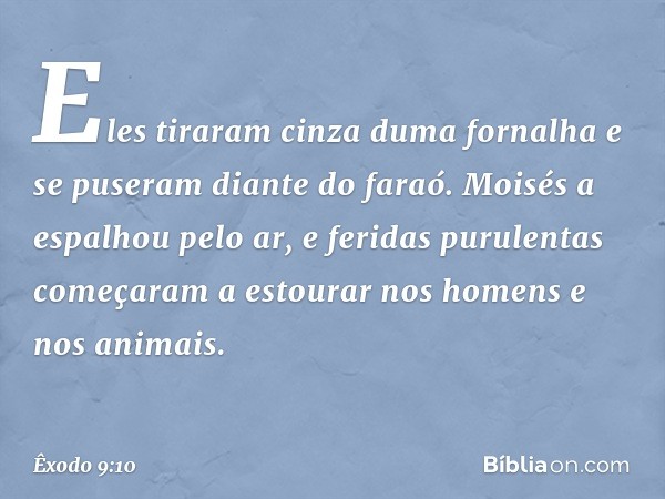 Eles tiraram cinza duma fornalha e se puseram diante do faraó. Moisés a espalhou pelo ar, e feridas purulentas começaram a es­tourar nos homens e nos animais. -