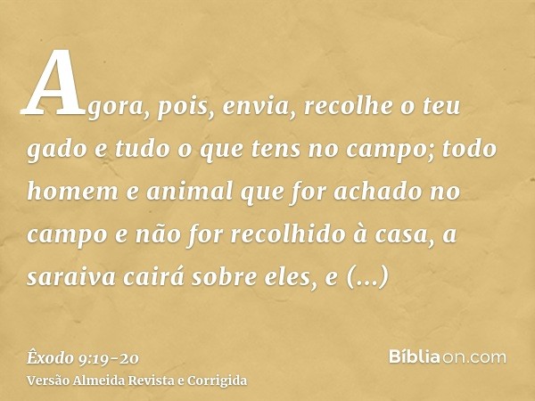 Agora, pois, envia, recolhe o teu gado e tudo o que tens no campo; todo homem e animal que for achado no campo e não for recolhido à casa, a saraiva cairá sobre
