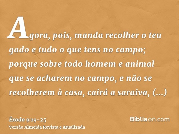 Agora, pois, manda recolher o teu gado e tudo o que tens no campo; porque sobre todo homem e animal que se acharem no campo, e não se recolherem à casa, cairá a