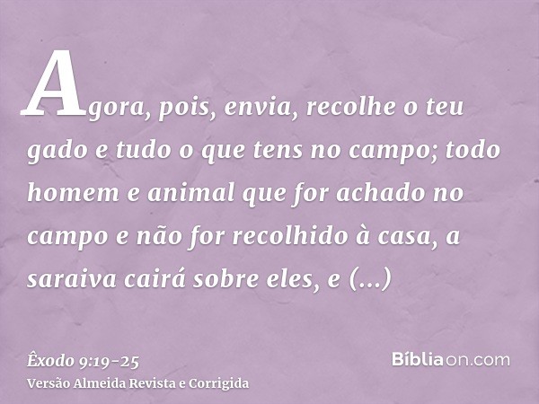 Agora, pois, envia, recolhe o teu gado e tudo o que tens no campo; todo homem e animal que for achado no campo e não for recolhido à casa, a saraiva cairá sobre