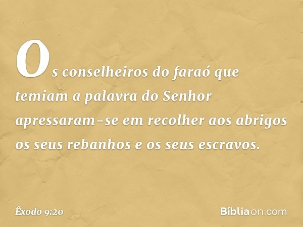 Os conselheiros do faraó que temiam a palavra do Senhor apressaram-se em reco­lher aos abrigos os seus rebanhos e os seus es­cravos. -- Êxodo 9:20