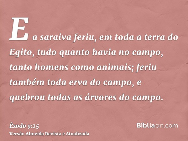 E a saraiva feriu, em toda a terra do Egito, tudo quanto havia no campo, tanto homens como animais; feriu também toda erva do campo, e quebrou todas as árvores 