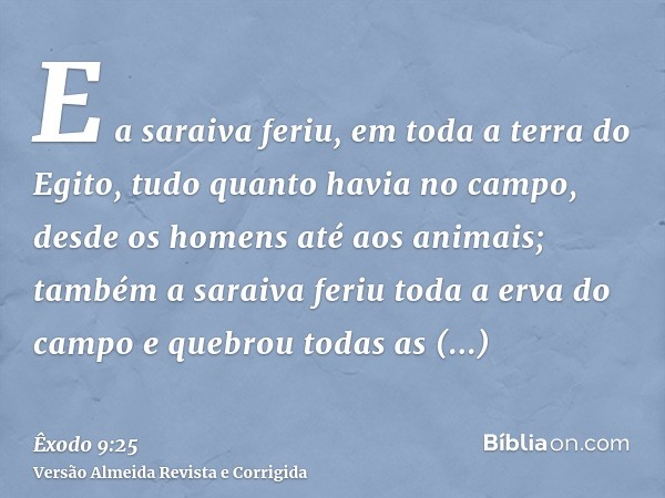 E a saraiva feriu, em toda a terra do Egito, tudo quanto havia no campo, desde os homens até aos animais; também a saraiva feriu toda a erva do campo e quebrou 