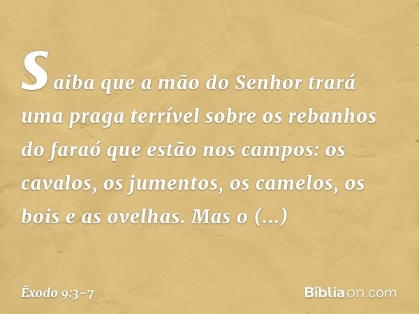 saiba que a mão do Senhor trará uma praga terrível sobre os rebanhos do faraó que estão nos campos: os cavalos, os jumentos, os camelos, os bois e as ovelhas. M