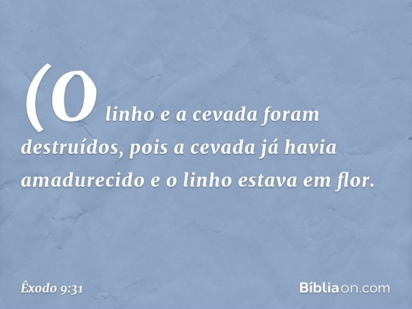 (O linho e a cevada foram destruídos, pois a cevada já havia amadurecido e o linho estava em flor. -- Êxodo 9:31