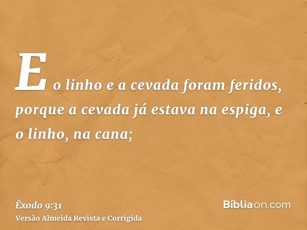E o linho e a cevada foram feridos, porque a cevada já estava na espiga, e o linho, na cana;