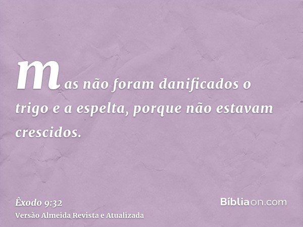 mas não foram danificados o trigo e a espelta, porque não estavam crescidos.