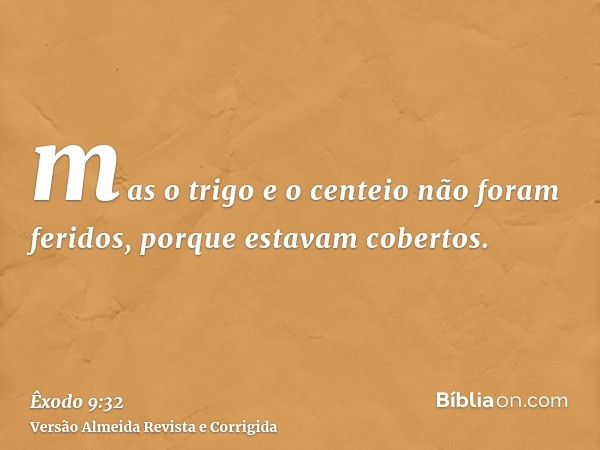 mas o trigo e o centeio não foram feridos, porque estavam cobertos.