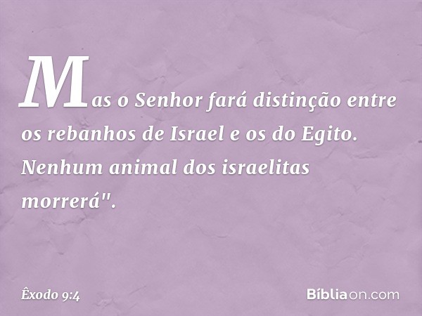 Mas o Senhor fará distinção entre os rebanhos de Israel e os do Egito. Nenhum ani­mal dos israelitas morrerá". -- Êxodo 9:4