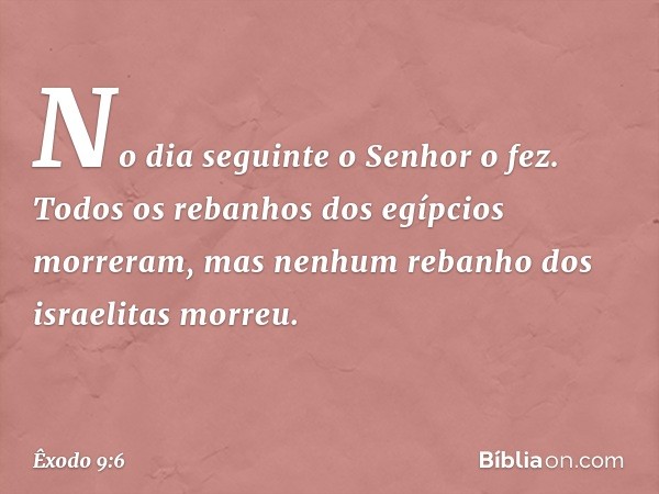 No dia seguinte o Senhor o fez. Todos os rebanhos dos egípcios morreram, mas nenhum rebanho dos israelitas morreu. -- Êxodo 9:6