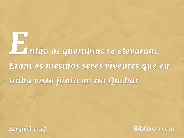 Então os querubins se elevaram. Eram os mesmos seres viventes que eu tinha visto junto ao rio Quebar. -- Ezequiel 10:15