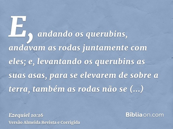 E, andando os querubins, andavam as rodas juntamente com eles; e, levantando os querubins as suas asas, para se elevarem de sobre a terra, também as rodas não s