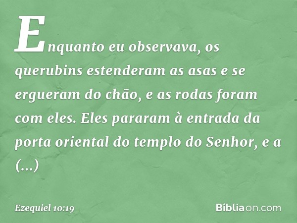 Enquanto eu observava, os querubins estenderam as asas e se ergueram do chão, e as rodas foram com eles. Eles pararam à entrada da porta oriental do templo do S