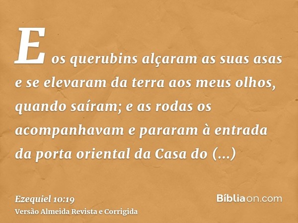 E os querubins alçaram as suas asas e se elevaram da terra aos meus olhos, quando saíram; e as rodas os acompanhavam e pararam à entrada da porta oriental da Ca