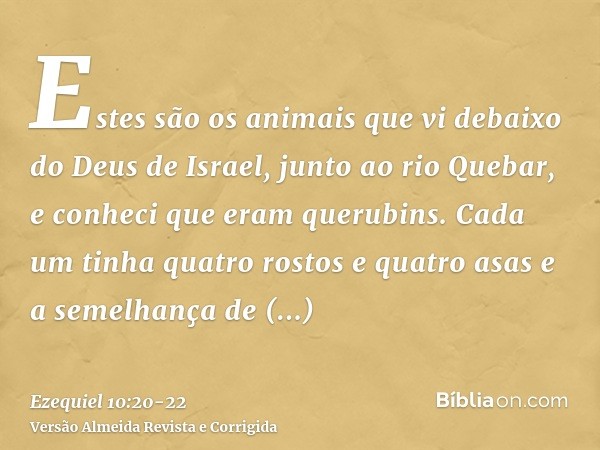 Estes são os animais que vi debaixo do Deus de Israel, junto ao rio Quebar, e conheci que eram querubins.Cada um tinha quatro rostos e quatro asas e a semelhanç
