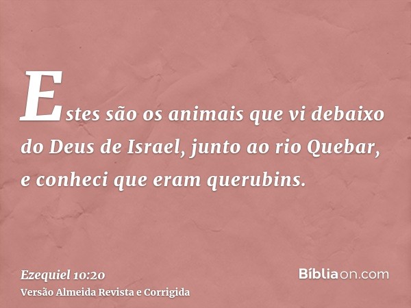 Estes são os animais que vi debaixo do Deus de Israel, junto ao rio Quebar, e conheci que eram querubins.