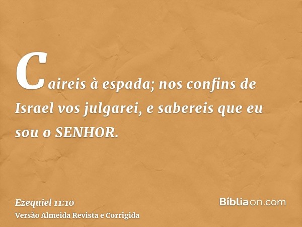 Caireis à espada; nos confins de Israel vos julgarei, e sabereis que eu sou o SENHOR.