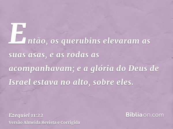 Então, os querubins elevaram as suas asas, e as rodas as acompanhavam; e a glória do Deus de Israel estava no alto, sobre eles.