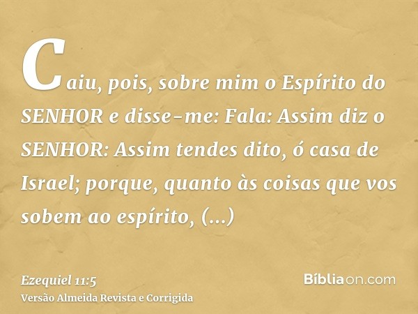 Caiu, pois, sobre mim o Espírito do SENHOR e disse-me: Fala: Assim diz o SENHOR: Assim tendes dito, ó casa de Israel; porque, quanto às coisas que vos sobem ao 