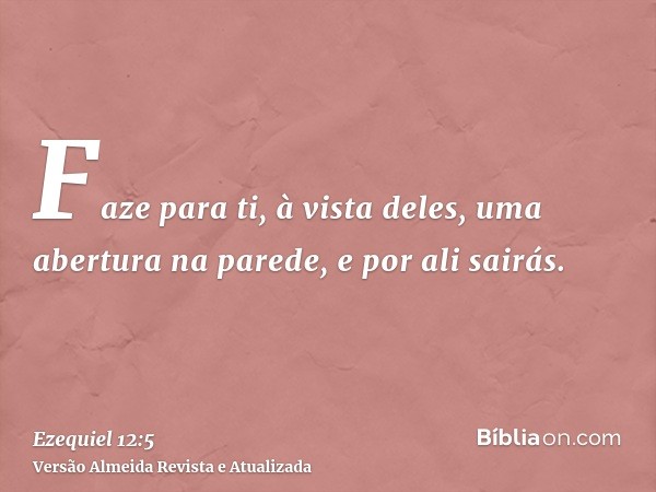 Faze para ti, à vista deles, uma abertura na parede, e por ali sairás.