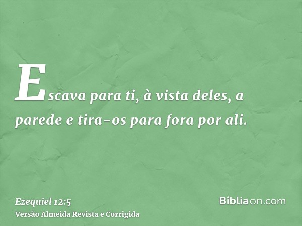 Escava para ti, à vista deles, a parede e tira-os para fora por ali.