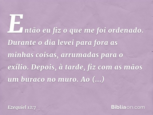 Então eu fiz o que me foi ordenado. Durante o dia levei para fora as minhas coisas, arrumadas para o exílio. Depois, à tarde, fiz com as mãos um buraco no muro.