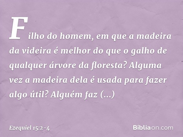 "Filho do homem, em que a madeira da videira é melhor do que o galho de qual­quer árvore da floresta? Alguma vez a madeira dela é usada para fazer algo útil? Al