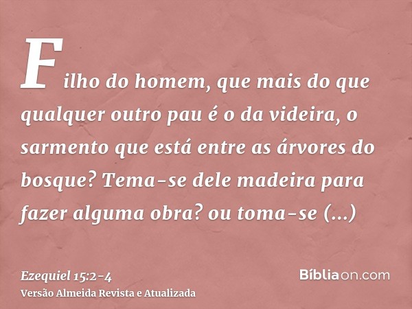 Filho do homem, que mais do que qualquer outro pau é o da videira, o sarmento que está entre as árvores do bosque?Tema-se dele madeira para fazer alguma obra? o