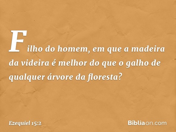 "Filho do homem, em que a madeira da videira é melhor do que o galho de qual­quer árvore da floresta? -- Ezequiel 15:2