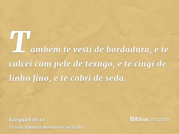 Também te vesti de bordadura, e te calcei com pele de texugo, e te cingi de linho fino, e te cobri de seda.