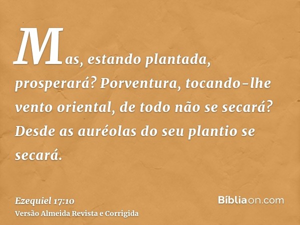 Mas, estando plantada, prosperará? Porventura, tocando-lhe vento oriental, de todo não se secará? Desde as auréolas do seu plantio se secará.
