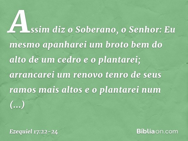 "Assim diz o Soberano, o Senhor: Eu mesmo apanharei um broto bem do alto de um cedro e o plantarei; arrancarei um renovo tenro de seus ramos mais altos e o plan