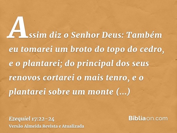 Assim diz o Senhor Deus: Também eu tomarei um broto do topo do cedro, e o plantarei; do principal dos seus renovos cortarei o mais tenro, e o plantarei sobre um