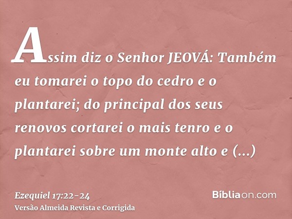 Assim diz o Senhor JEOVÁ: Também eu tomarei o topo do cedro e o plantarei; do principal dos seus renovos cortarei o mais tenro e o plantarei sobre um monte alto