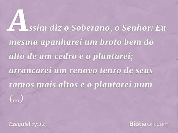 "Assim diz o Soberano, o Senhor: Eu mesmo apanharei um broto bem do alto de um cedro e o plantarei; arrancarei um renovo tenro de seus ramos mais altos e o plan