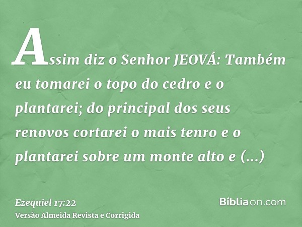 Assim diz o Senhor JEOVÁ: Também eu tomarei o topo do cedro e o plantarei; do principal dos seus renovos cortarei o mais tenro e o plantarei sobre um monte alto