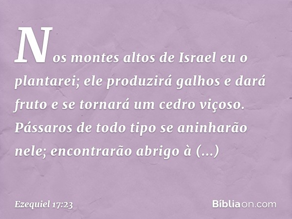 Nos montes altos de Israel eu o plantarei; ele produzirá galhos e dará fruto e se tornará um cedro viçoso. Pássaros de todo tipo se aninharão nele; encontrarão 