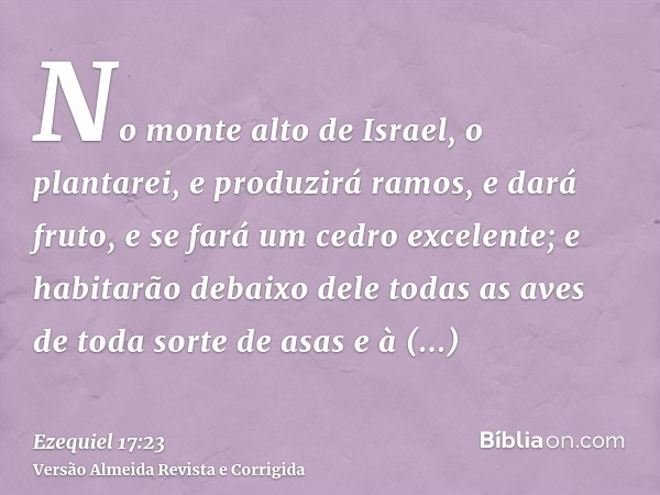 No monte alto de Israel, o plantarei, e produzirá ramos, e dará fruto, e se fará um cedro excelente; e habitarão debaixo dele todas as aves de toda sorte de asa